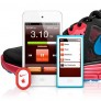 Комплект Nike + iPod от Apple - 