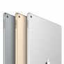 iPad Pro 32Gb (Wi-Fi) Space Gray - 