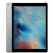 iPad Pro (Wi-Fi+4G) Space Gray