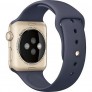 42mm Apple Watch Gold (MQ122) - 