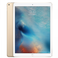 iPad Pro (Wi-Fi+4G) Gold